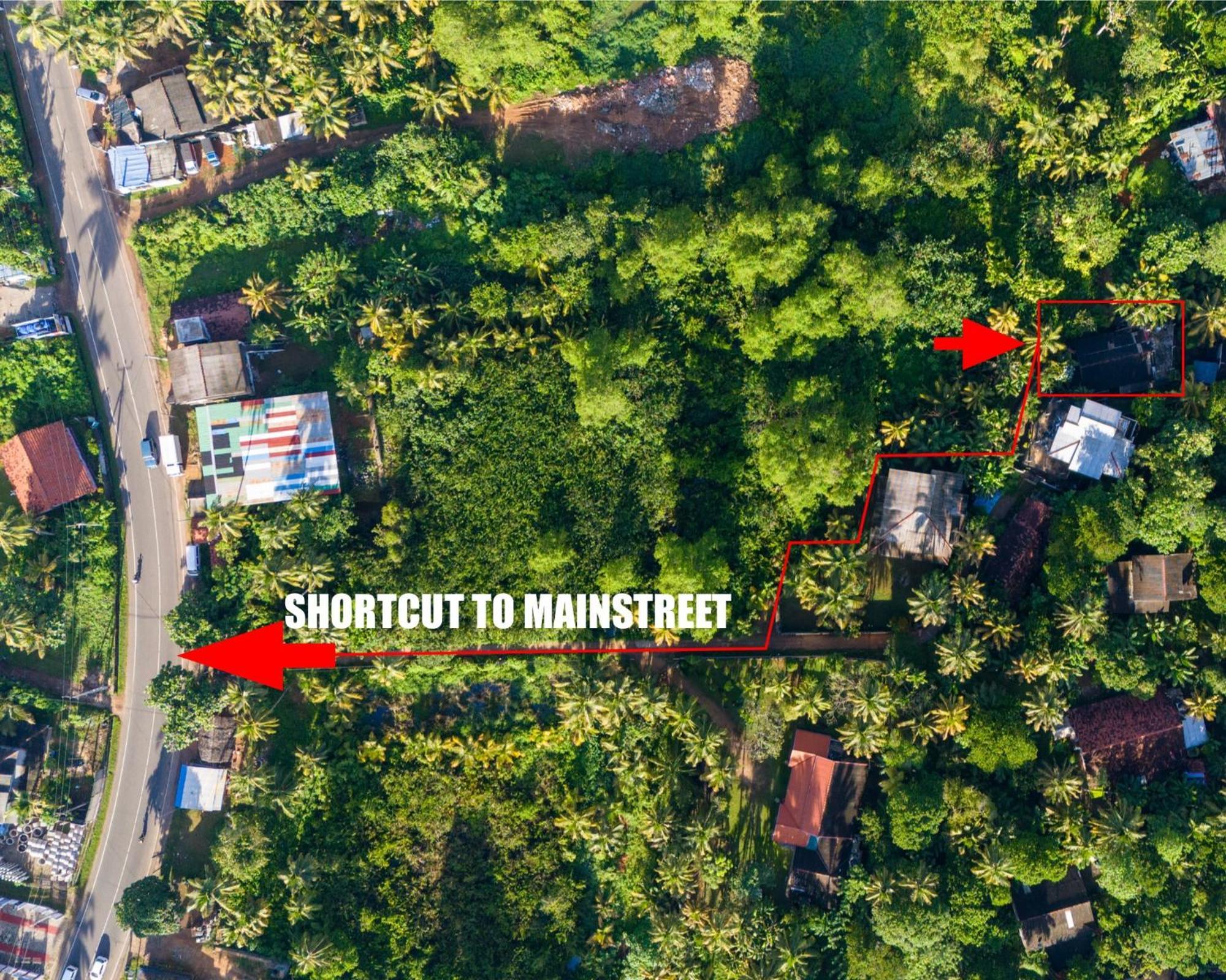 Sun & Tree Homestay Мирисса Экстерьер фото
